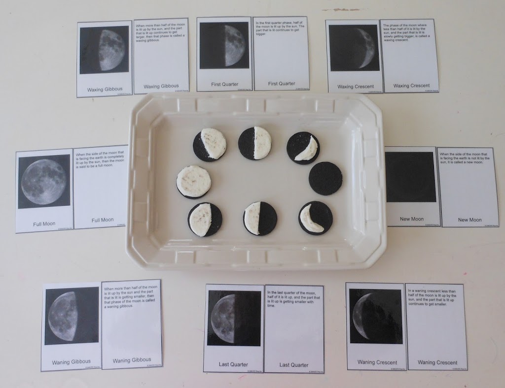 Teaching the phases of the moon, moon phases, free printables, hands on learning, Montessori, Science www.naturalbeachliving.com