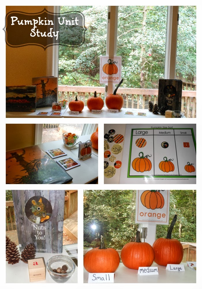 Fun Ways for Exploring Pumpkins in Autumn