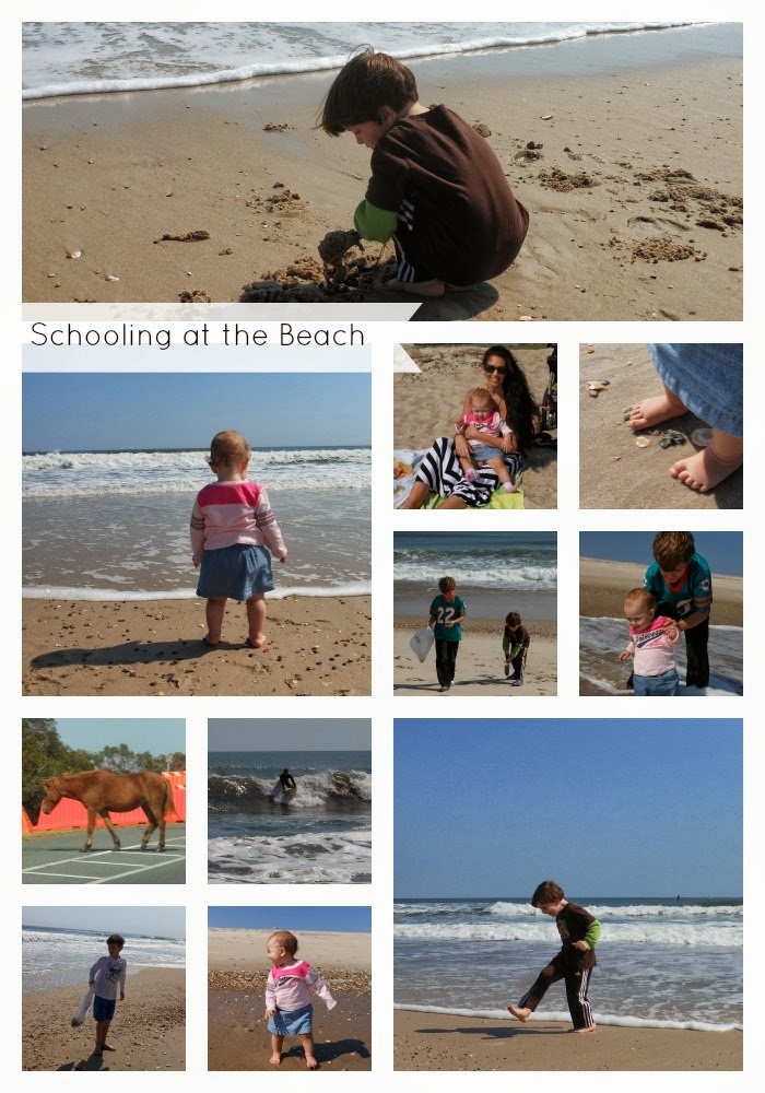Schooling at the Beach Wordless Wednesday