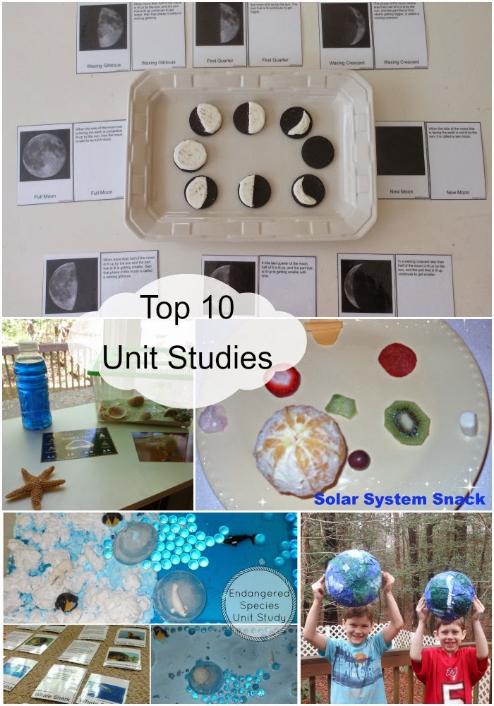 Top 10 Unit studies from 2013