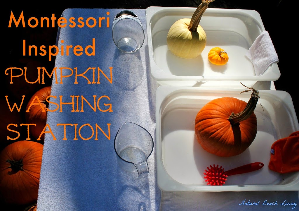 Perfect Fall Montessori Pumpkin Activities, Themed Learning Ideas, Nature Inspired, Halloween, Printables, 3 Part Cards, Crafts, Montessori Math & More