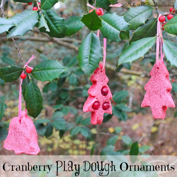 cranberry ornament