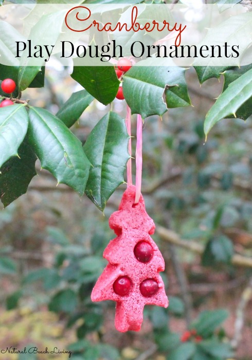 The Ultimate Christmas Cranberry Play dough Ornaments