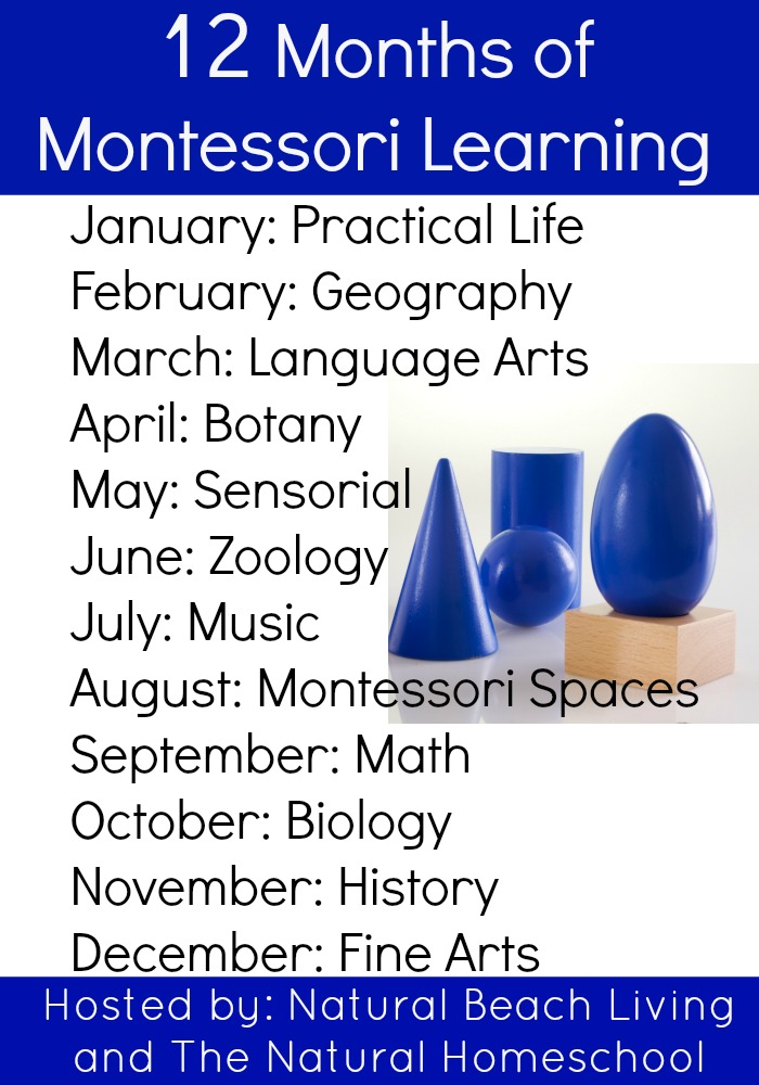 12 months of Montessori Learning, practical life, geography, Language Arts, Botany, Sensorial, Zoology, Music, Montessori Spaces, Math, Biology, History, Fine Arts, Maria Montessori activities www.naturalbeachliving.com