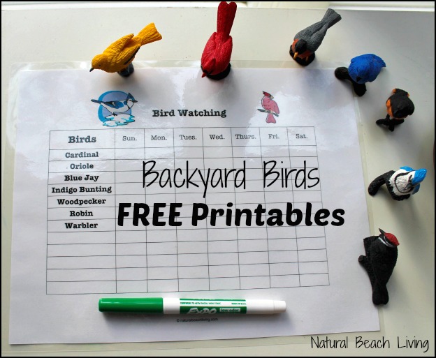 Observing & Learning Backyard Birds with Free Printables, Best Bird Activities for Kids, Backyard Birds Watch Chart, Learning Backyard Birds and Bird Watching with Kids, Bird Activities for Preschoolers, Montessori Printables, Charlotte Mason Homeschooling, Nature Study, #birds #preschoolactivities #Montessori #Montessoriactivities #Homeschool 