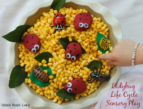 6 great ideas for spring preschool themes, lesson plans, packed full of fun crafts, sensory play, science, free printables,& more www.naturalbeachliving.com
