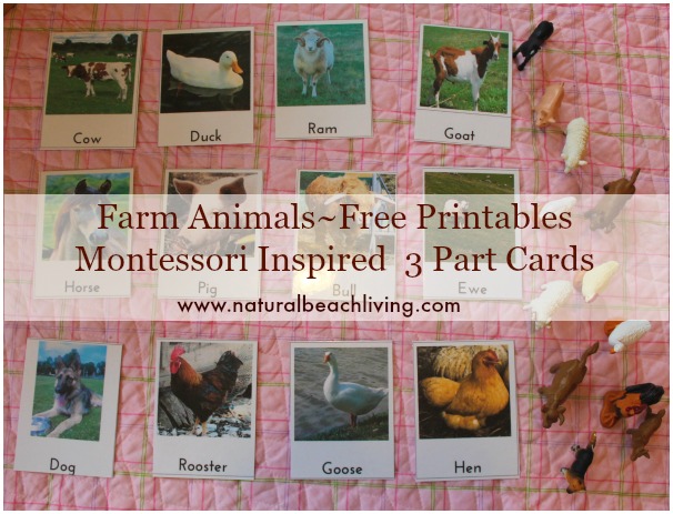 Farm Animal Activities, Montessori, Free Printables, 3 part cards, Farm books for kids, Safari Toob Animals, Toddler, Preschool, www.naturalbeachliving.com