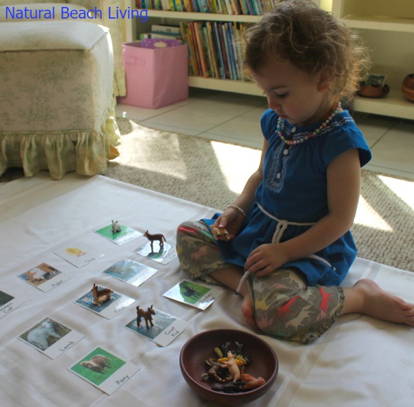 Preschool Farm Activities, These Montessori Farm Activities and Free Printables are sure to engage and excite your Preschoolers. Add these to your learning for a Montessori inspired farm unit, Free Farm Animal 3 part cards, Farm books for kids, and hands on activities perfect for a preschool farm theme. 
