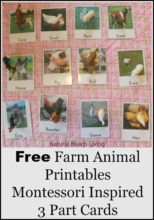 Farm Animal Activities, Montessori, Free Printables, 3 part cards, Farm books for kids, Safari Toob Animals, Toddler, Preschool, www.naturalbeachliving.com