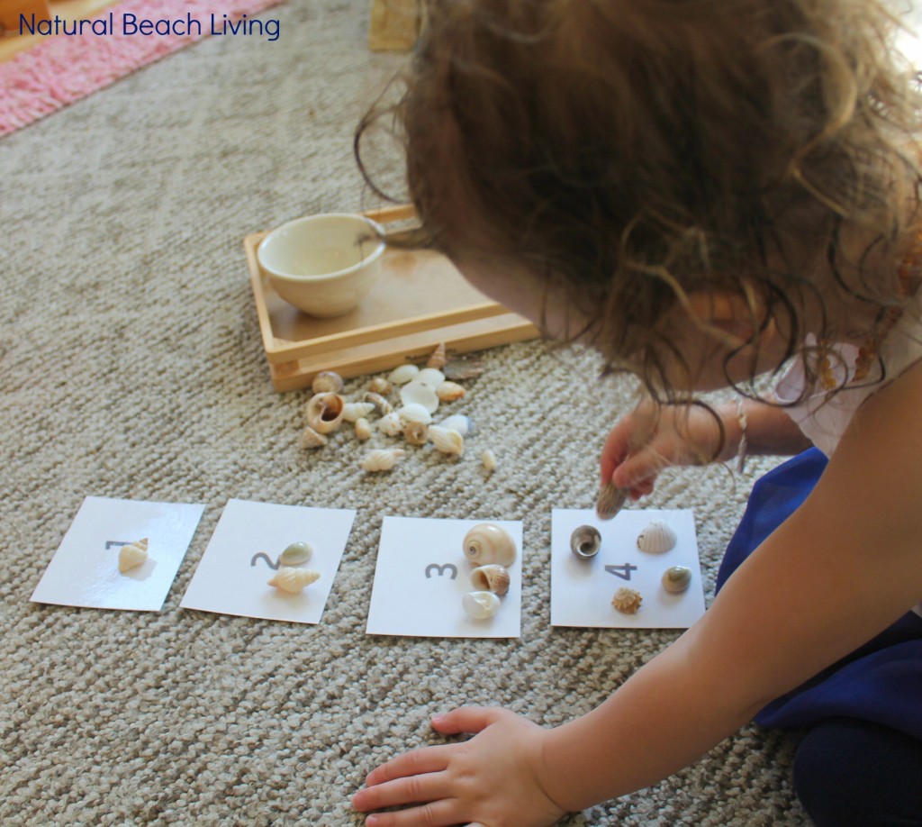 Montessori Inspired themed preschool activities, under the sea animals, practical life, sensory play, games, Alphabet craft, and more, Natural Beach Living 