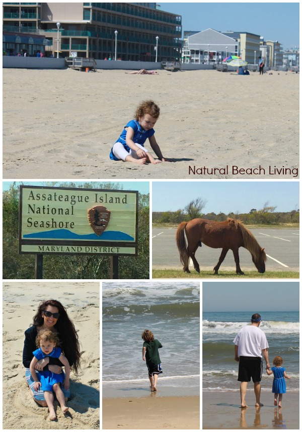 Hands on learning US Geography with Little Passports, Activities, Free Printables, State Geography lessons, Lessons, activities, & more Natural Beach Living