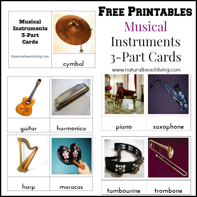 Montessori Music Activities for Preschoolers (Free ...