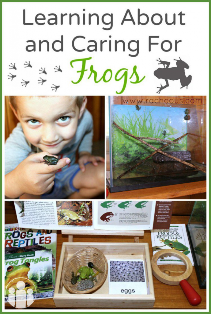 A year of Preschool Themes with activities, lessons, free printables, ideas, hands on learning, books, Sensory and so much more www.naturalbeachliving.com