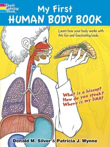 my first human anatomy book