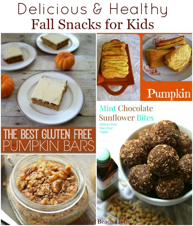 Amazingly Delicious and Healthy Fall Snacks for Kids and Adults. Gluten Free, Vegan, Pumpkin, and so much more. Yum!