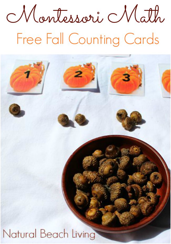 DIY Natural Fall Montessori Math, Free Fall Counting Printables, Loose parts, Natural Materials, Perfect for Preschoolers, 12 months of Montessori Learning 