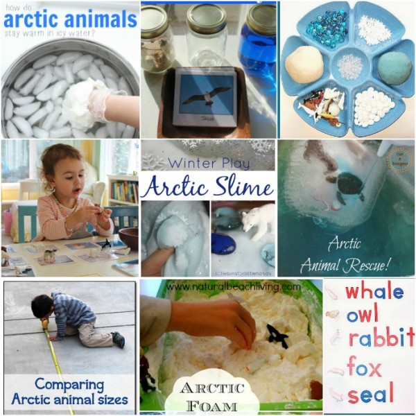image collage of pictures for arctic slime