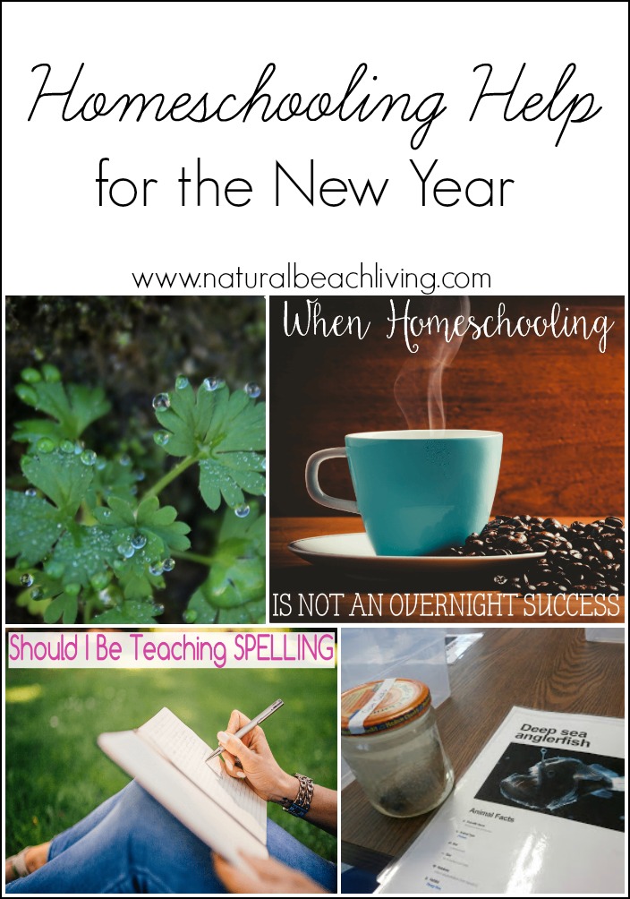 Homeschooling Help for the New Year (Linky 50)