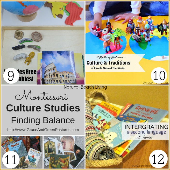 Tons of Wonderful Montessori Culture Ideas and Printables, Continent Boxes, Continent Studies, Free Printables, DIY and Multicultural Books and More 