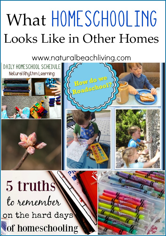What Homeschooling Looks Like for Others. A day in the life of homeschoolers, roadschoolers, help for the hard days of homeschooling and ideas to find new excitement in homeschooling life. 