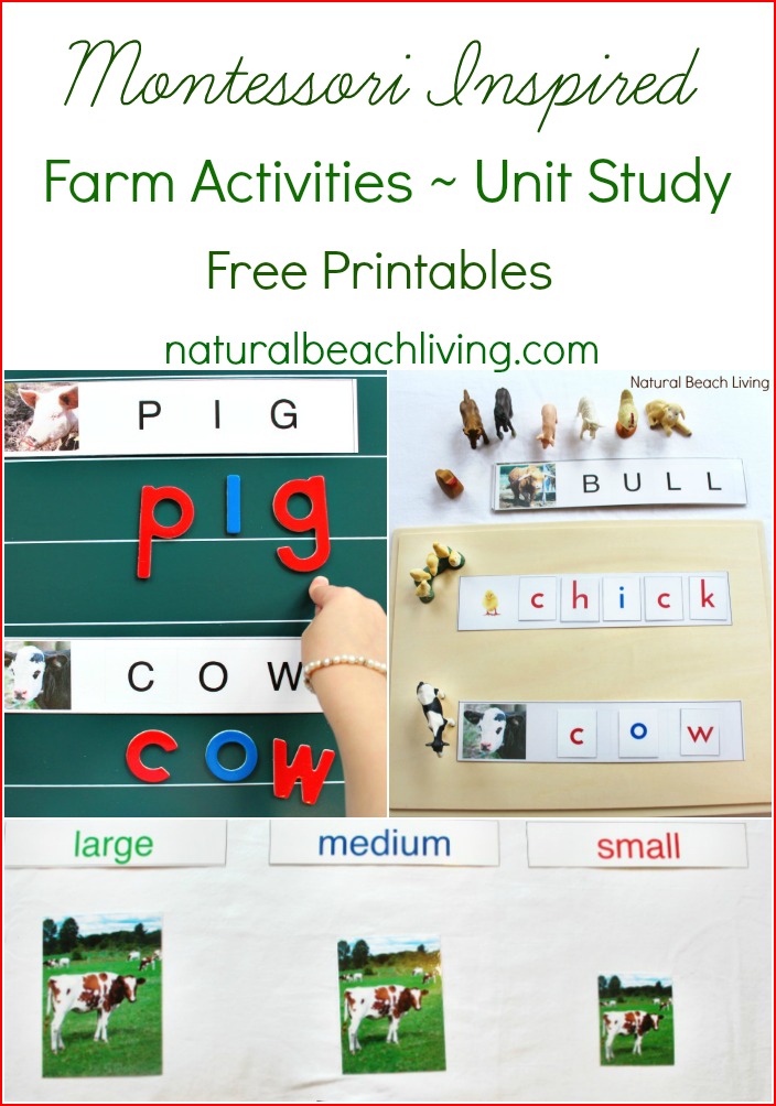 Montessori Farm Activities ~ Farm Theme Unit Study with Free Printables