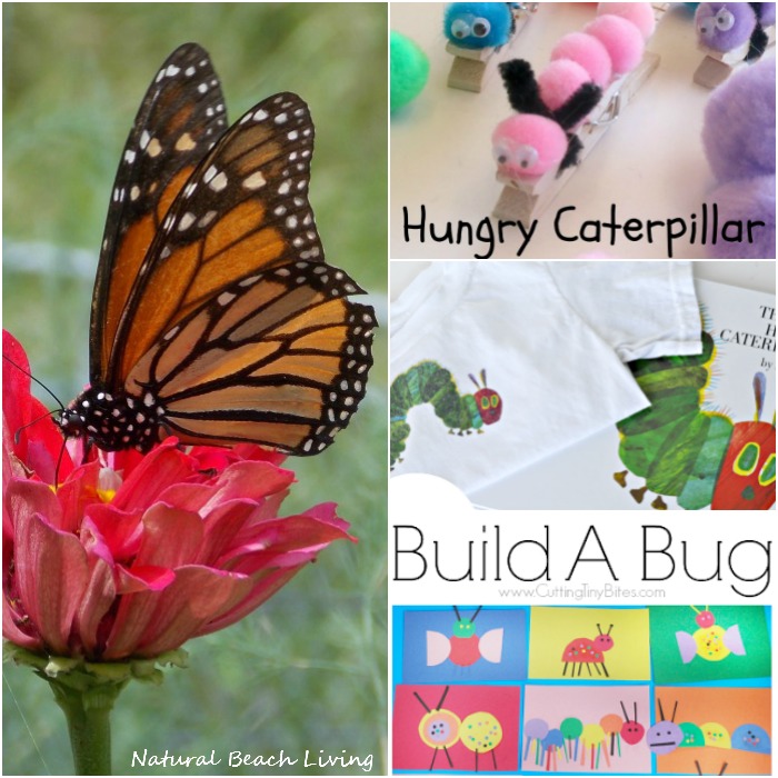Wonderful Caterpillar and Butterfly Ideas, Crafts, DIY, Fine Motor, Natural Learning, The Butterfly Life Cycle and Spring Activities for Kids