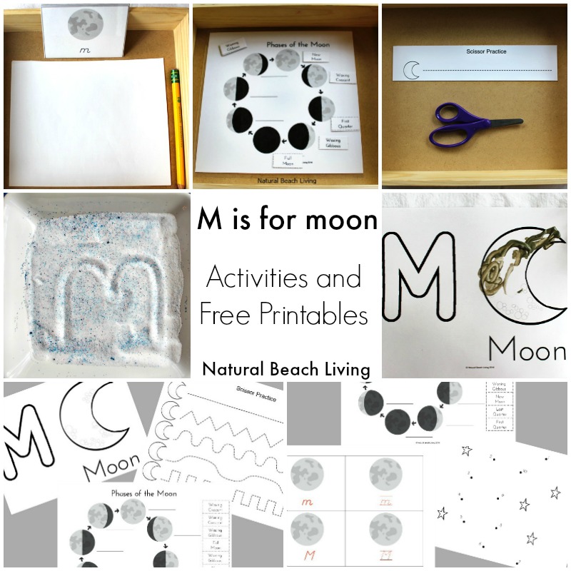 moon activities