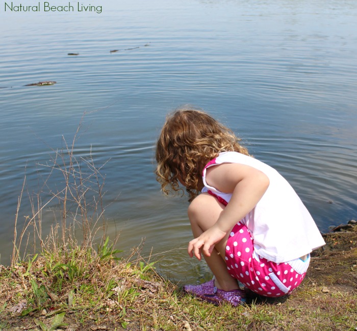 Exploring Life at the Pond, Natural learning, Science and Nature, Family Fun, Spring Activities and Unit Study, Free Pond Life Scavenger Hunt Printables 