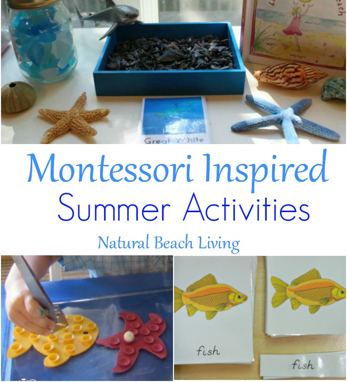 montessori summer activities for june fb