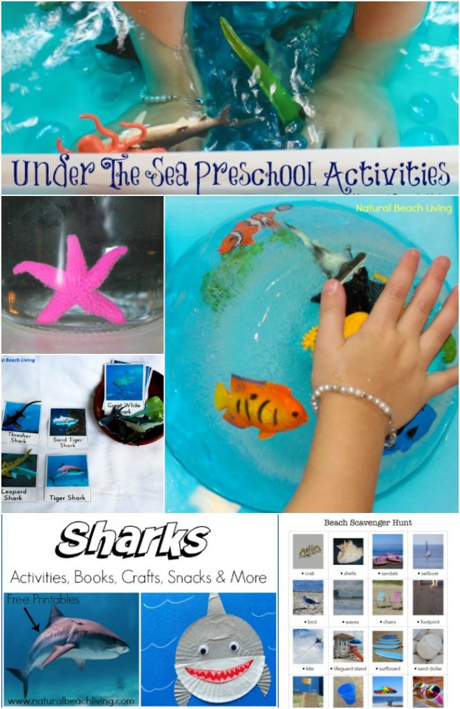 20+ Under the Sea Preschool Theme Activities and Printables