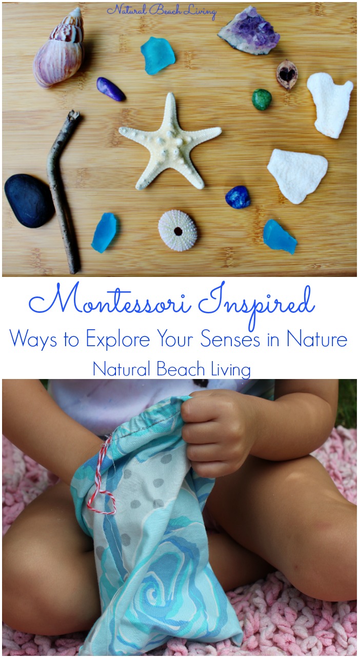 The Best Ways for Exploring Senses in Nature