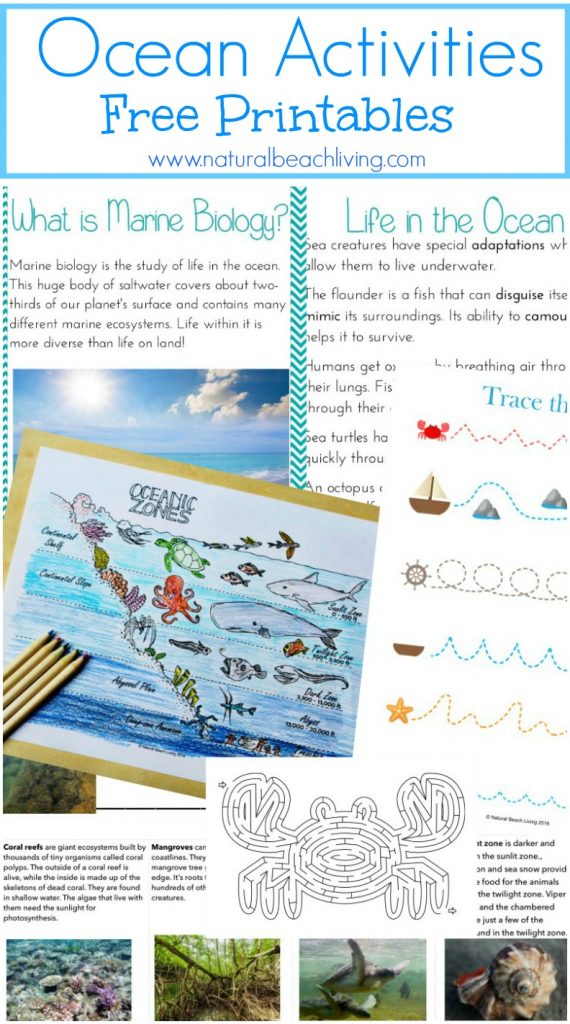 The Best Ocean Unit Study for Kids, Marine Biology for Kids and Under the Sea activities, Teach your kids about the ocean zones and Ocean life with these ocean theme activities. Plus, get free printable zones of the ocean worksheets to reinforce everything they learn!