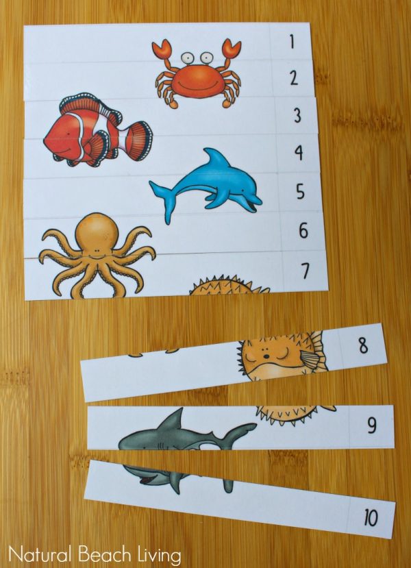 The Best Ocean Animals Preschool Activities and Printables