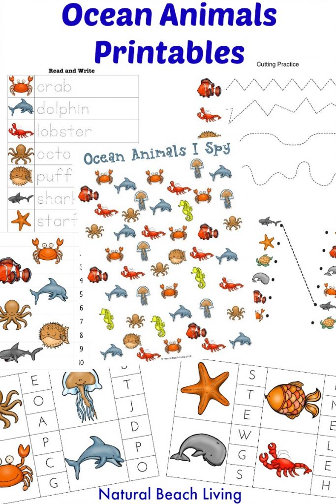 The Best Ocean Animals Preschool Activities, Free Printables, Perfect Preschool Ideas for Ocean or Under the Sea theme, I SPY Counting & Alphabet Clip Cards, Puzzles and More