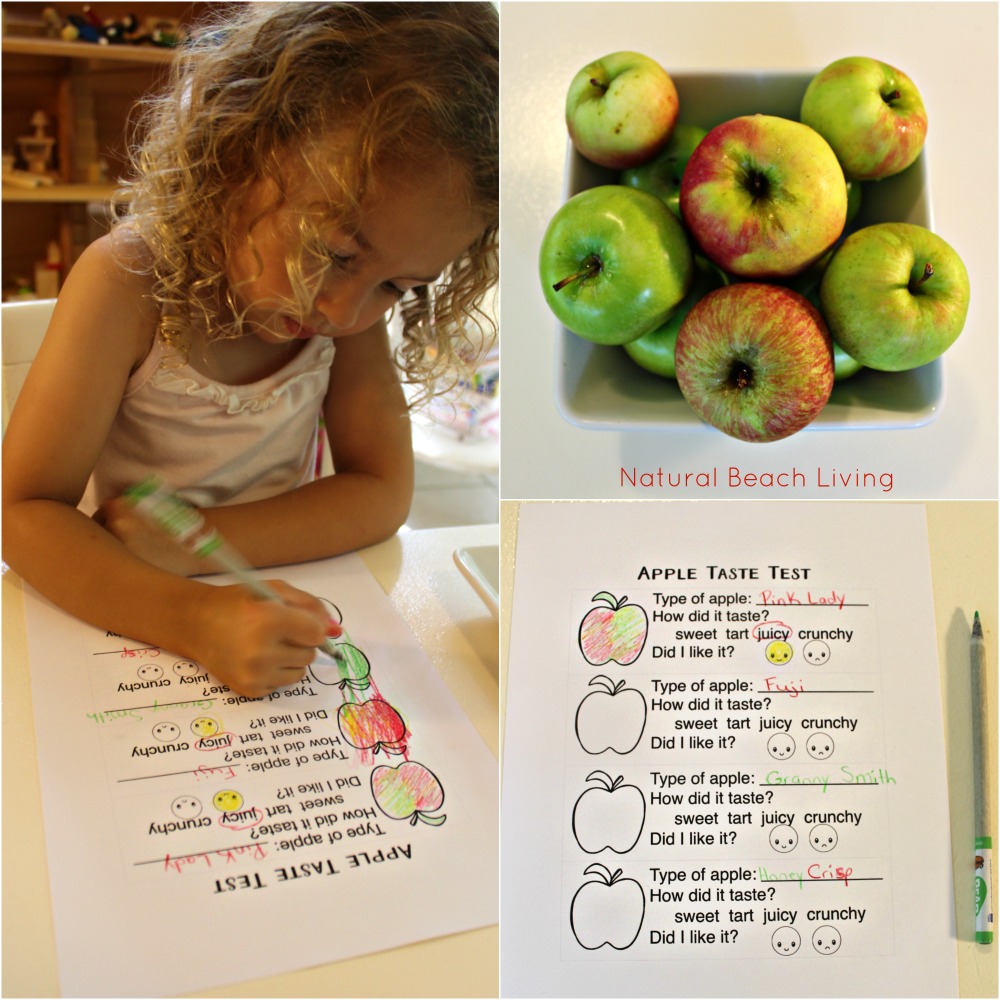 The Best Apple Activities for Toddlers, Preschoolers and Kindergartners, Apple Science for Preschool and Kindergarten and Apple Preschool Theme Activities with FIAR, BFIAR, Free Apple Preschool Printables, How to Make an Apple Pie Activities for Kids with Hands on Learning