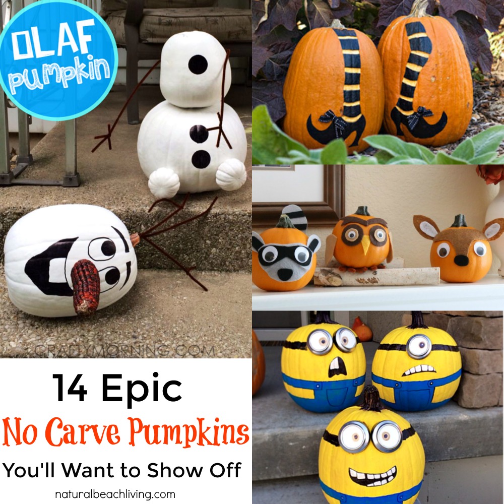 14 Epic No Carve Pumpkins You'll Want to Show Off, Adorable DIY Pumpkins with No Mess, Fall Decorations, Halloween Pumpkin Painting Ideas and Inspiration, with Creative Pumpkin Decorating ideas.