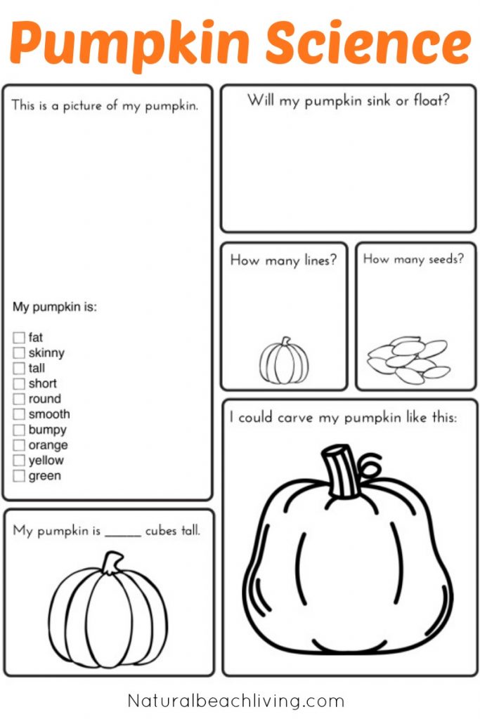 Pumpkin Activities for Kids - Pumpkin Lesson Plans (STEM ...