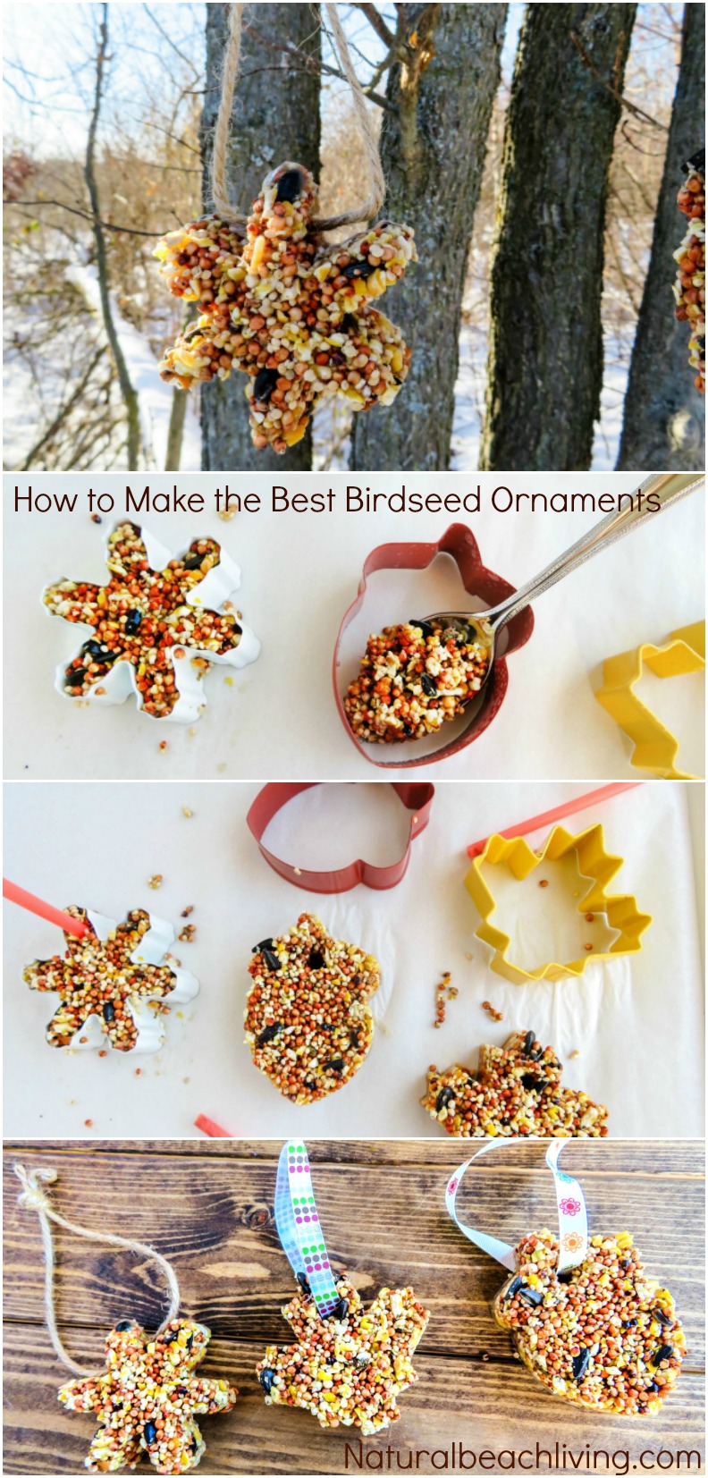 How to Make Apple Birdseed Homemade Bird Feeders, Apple Bird Feeders, Easy Homemade Bird Feeders, Great Fall Craft for Kids, Homemade Bird Treats