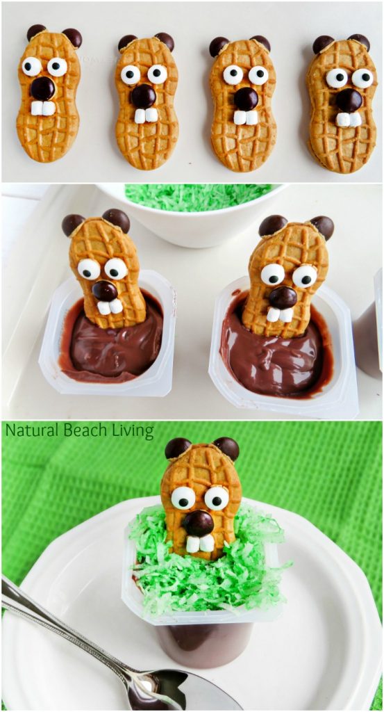 Groundhog Day Snack Idea for Kids Natural Beach Living