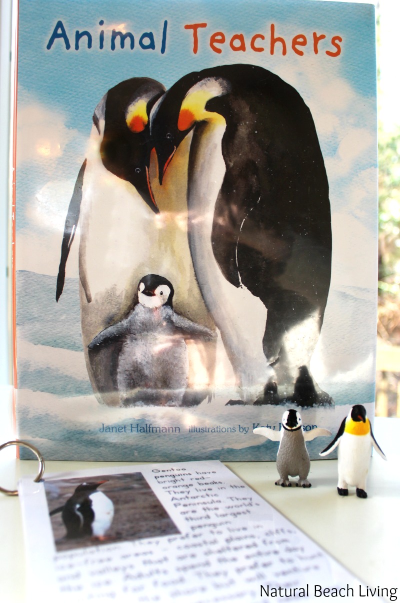 30+ Penguin Activities for Kids, The BEST Penguin Activities and Penguin Crafts for Kids. You can incorporate these into a Penguin Theme for Penguin Awareness Day or enjoy them with your kids for fun! A Penguin theme can make your day full of fun with activities, crafts, games, and snacks. Penguin Activities for Preschoolers, Penguin Activities for Kindergarten 