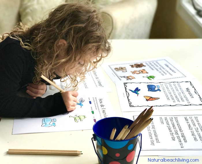 You'll Love These Winter Animals for Preschool Ideas, these winter animal printables are perfect for kids, teaching ideas, hands on learning, coloring pages