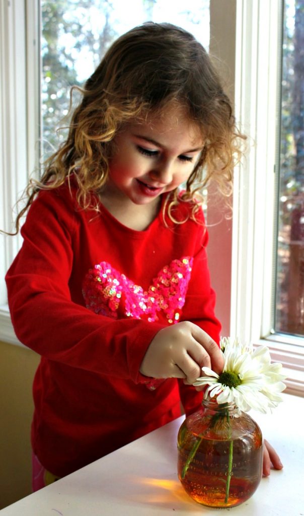Easy Flower Science Activities for Preschool and Kindergarten, Fun Flower experiment for kids, Color changing flowers, Nature Kids activities for homeschool