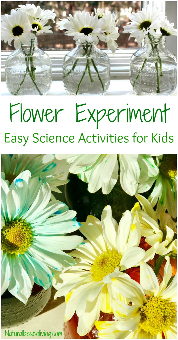 flower science