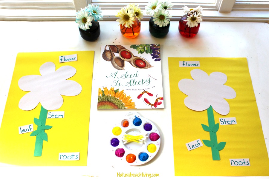 The Best Parts of a Flower Craft for Preschool and Kindergarten, Flower Crafts for Kids are Perfect for learning about flowers, Flower Science Preschoolers