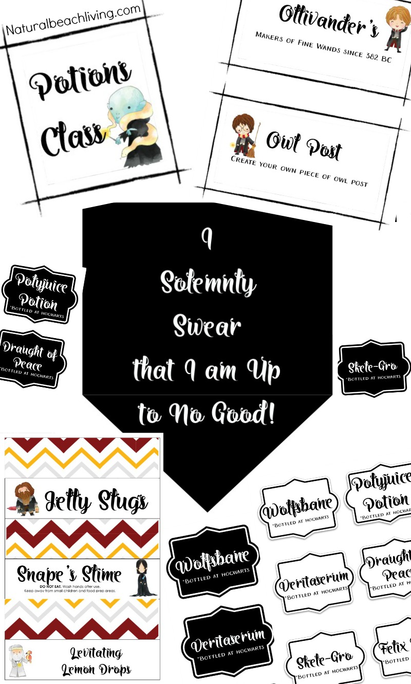 The Best Harry Potter Party ideas and Printables,  Welcome Natural Beach Living Subscribers, 150+ Free Printables and Hands on Activities on Natural Living, Homeschooling, Lesson Plans, Party Ideas, Craft Templates, Free Daily Visual Schedules and so much more