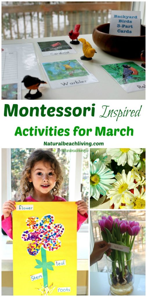 10+ March Montessori Activities for Preschoolers - Natural ...