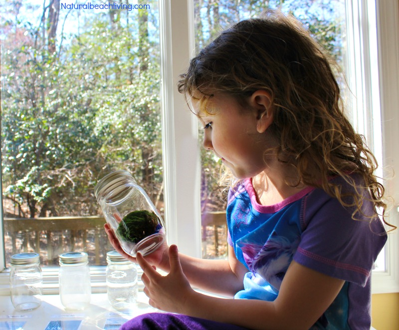 Teaching Kids About Pollution, Air, Land, & Water Pollution Activities, Printables, Earth Day Activities & Earth Day Ideas, Montessori, Reggio, Perfect! 