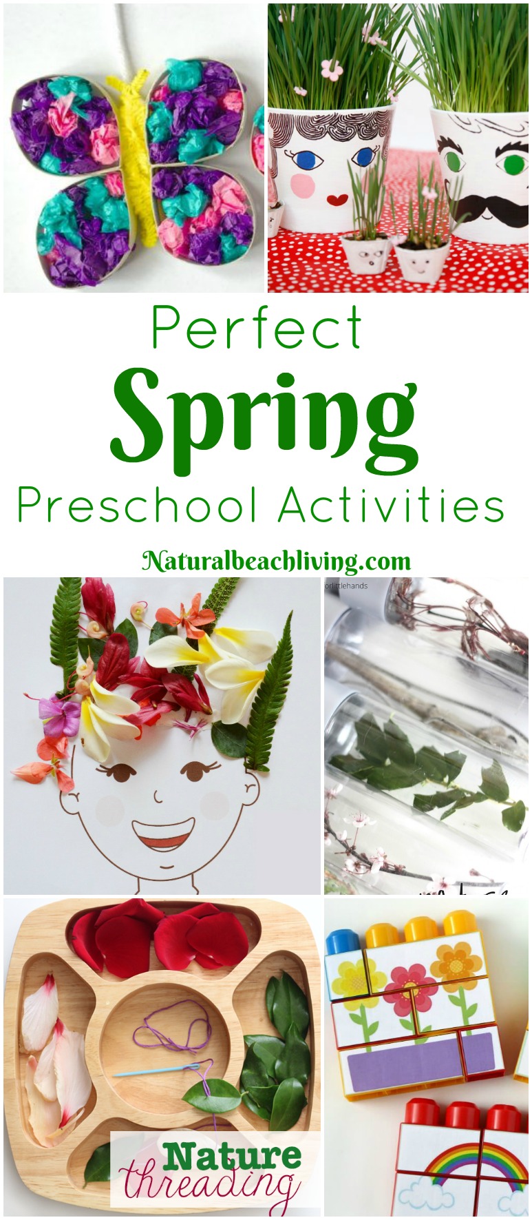 45+ Perfect Spring Preschool Activities, flowers, seeds, gardens, art, colors, Science, Nature ideas and more