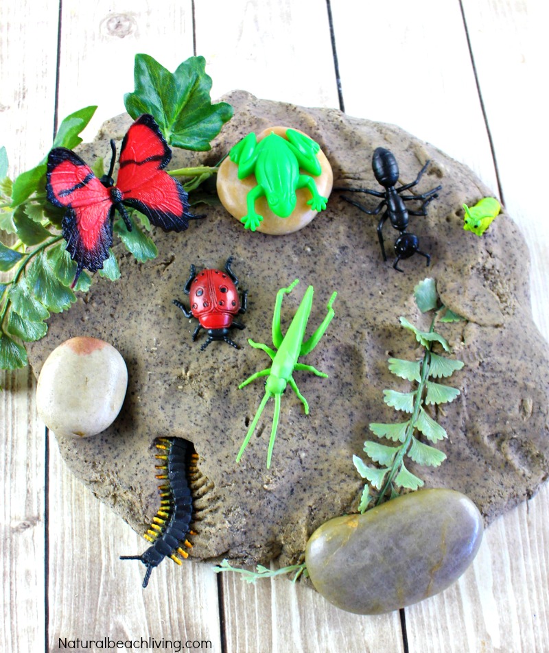 Dirt Inspired Coffee Ground Play Dough Kids Love, Mud sensory play, Insect activity, Make Coffee playdough, Soft Homemade Cooked Playdough, The Best Dough 
