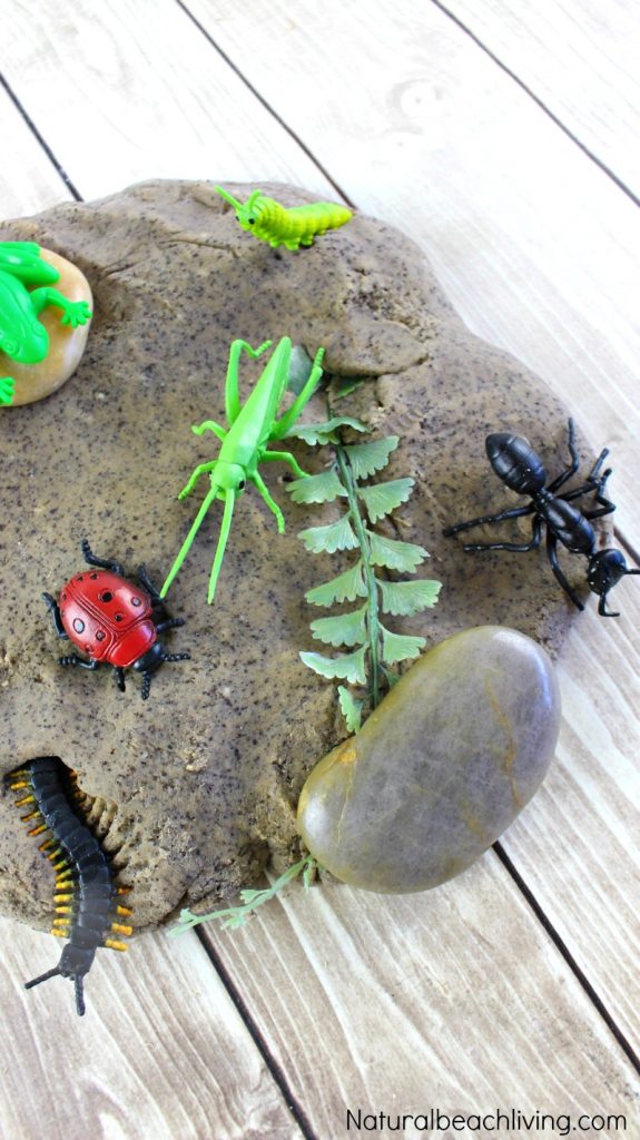 25 Bug Activities for Preschool - Natural Beach Living